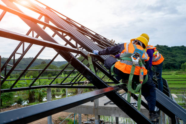 Best New Roof Installation  in Auburn, MI