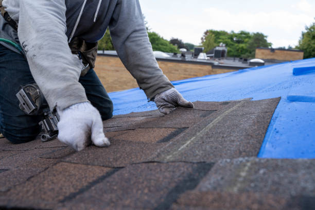 Best Flat Roof Repair Services  in Auburn, MI