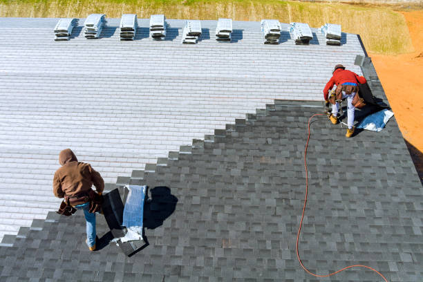 Best Storm Damage Roof Repair  in Auburn, MI