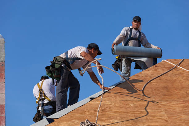 Best Roof Leak Repair  in Auburn, MI