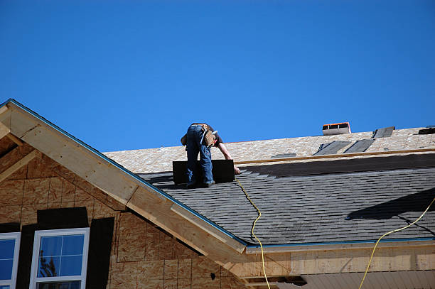 Best Roof Gutter Cleaning  in Auburn, MI