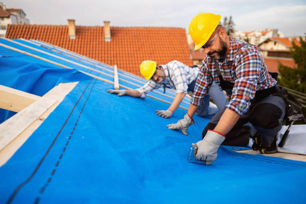 Best Best Roofing Contractors  in Auburn, MI