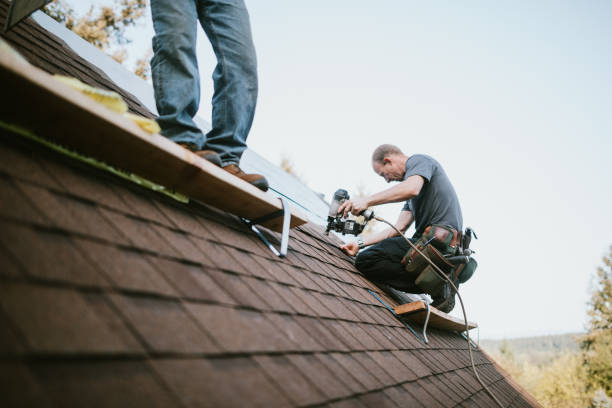 Quick and Trustworthy Emergency Roof Repair Services in Auburn, MI